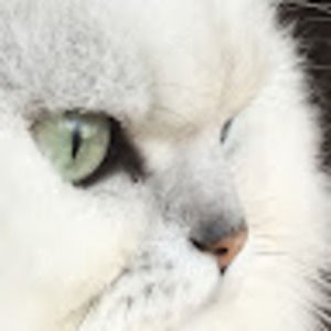 Meet your Posher, Inseo